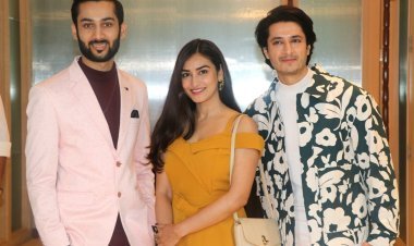 'MFA Records will give a 360-degree boost to the artist ', Anurag Sinha