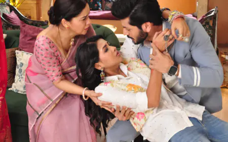 Pukaar-Dil Se Dil Tak: Sagar's Mistake Leads to Koel's Allergy