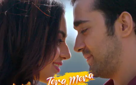 Love Brews With 'Tera Mera Milna' As First Ever Title Track From Aayushmati Geeta Matric Pass Releases - Check Song Now
